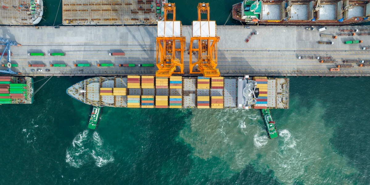 Membangun Branding Usaha Logistik melalui Website Profesional